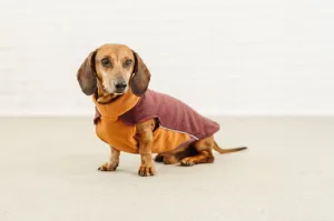 Dachshund Cotton Fleece Pullover Elton
