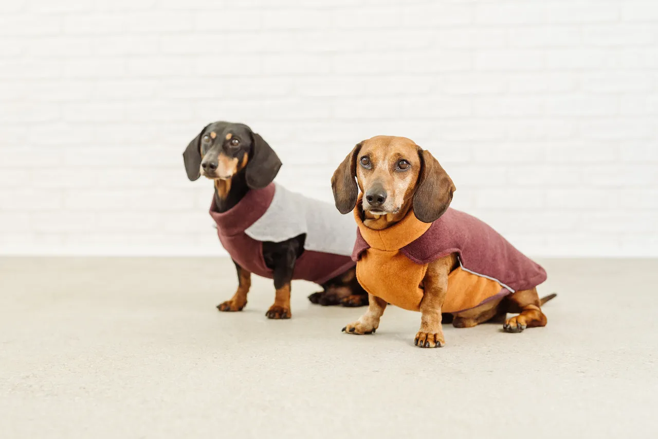 Dachshund Cotton Fleece Pullover Elton