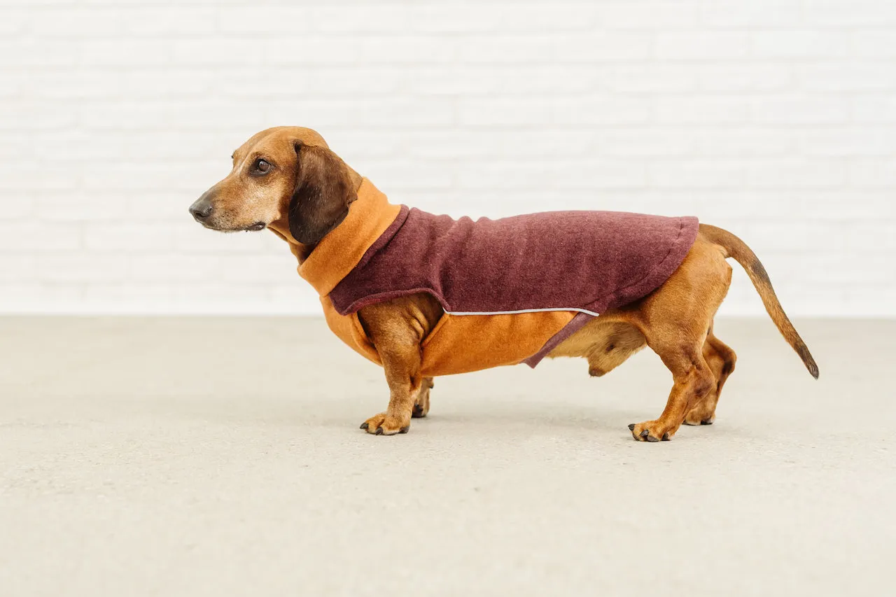 Dachshund Cotton Fleece Pullover Elton